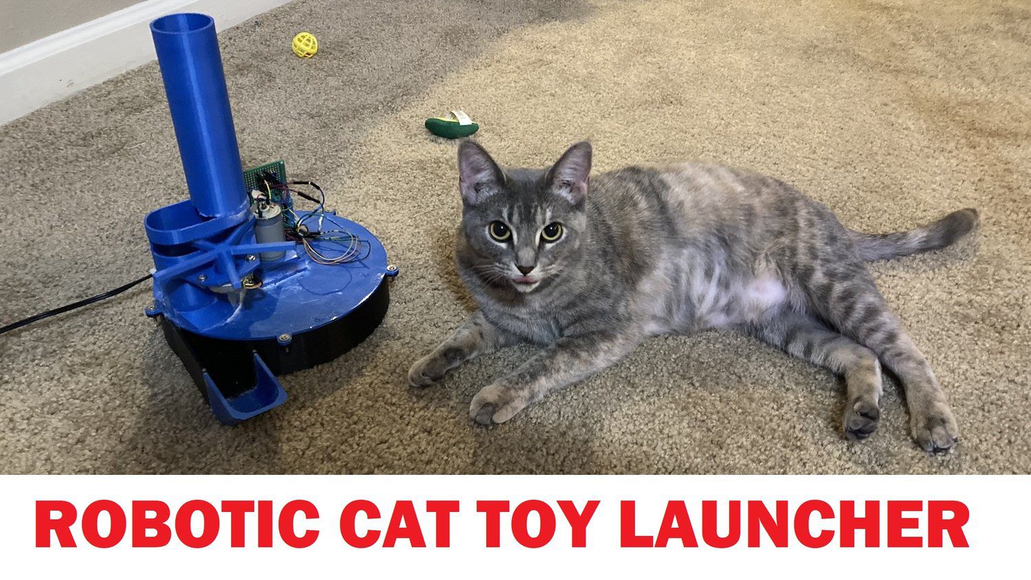 Robotic Cat Toy Launcher